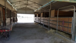 Stable view
