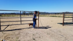 Checking the fences