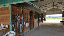 Inside the stable